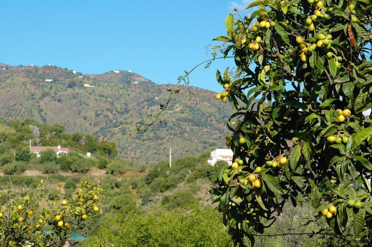 Comares Jingtu Wellness & Spa B&B מראה חיצוני תמונה