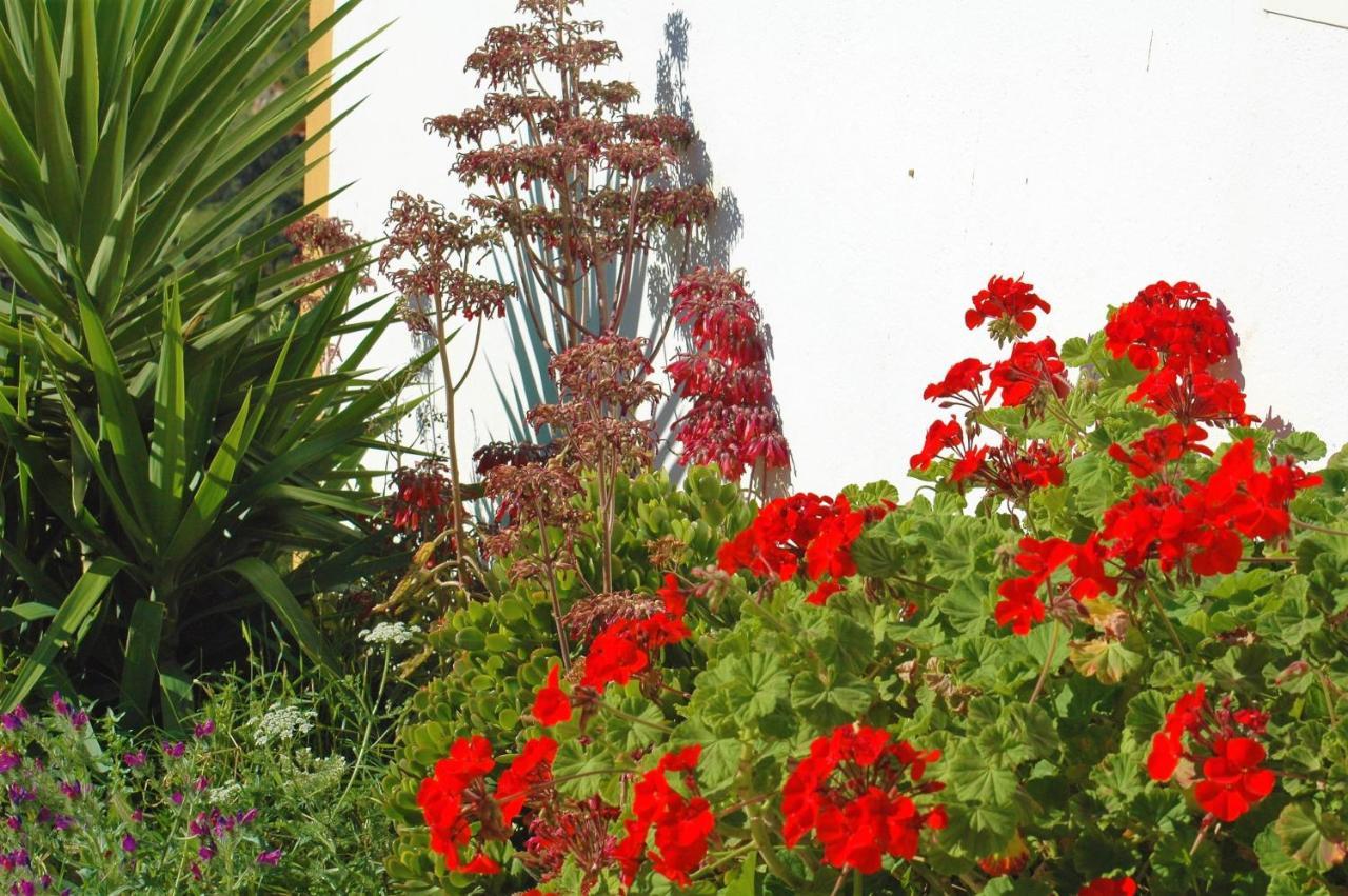 Comares Jingtu Wellness & Spa B&B מראה חיצוני תמונה